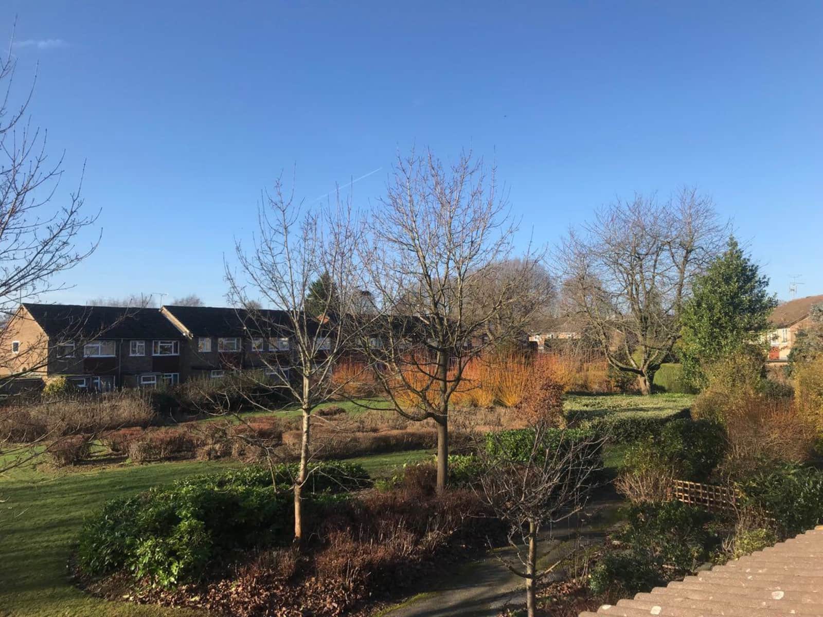 Housesitting assignment in Great Missenden, United Kingdom