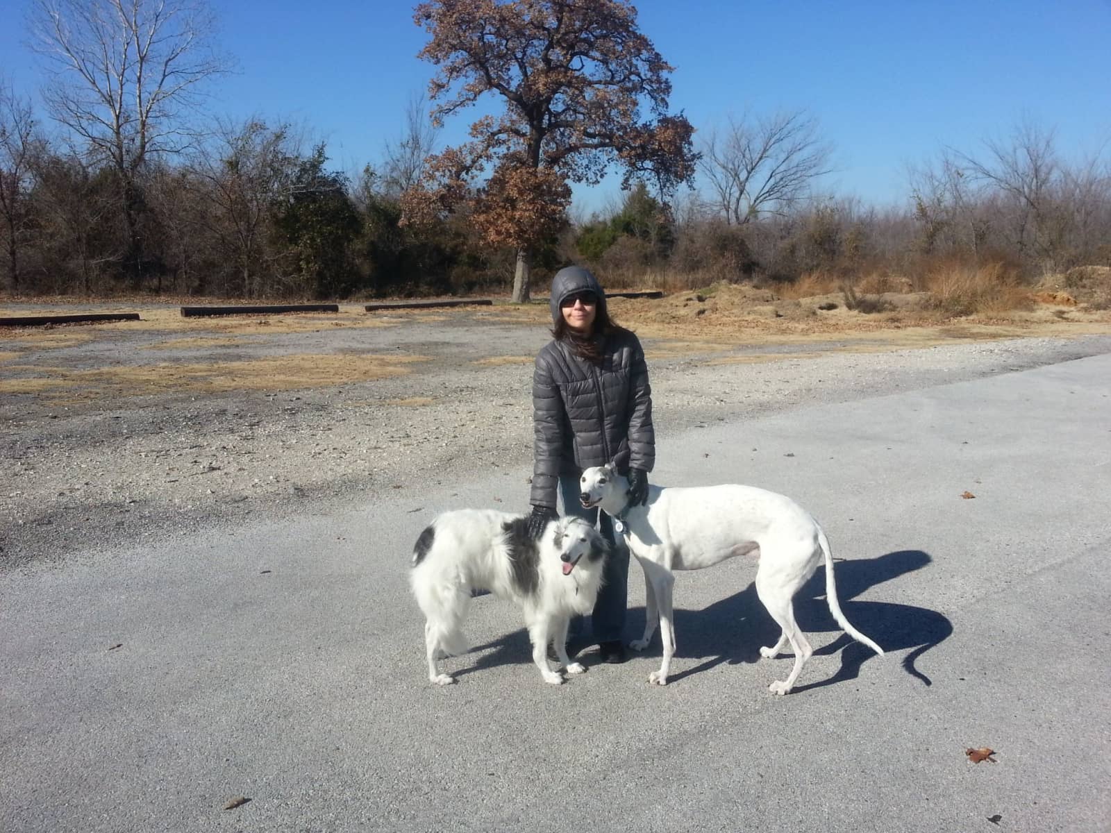 Terri from Grapevine, Texas, United States