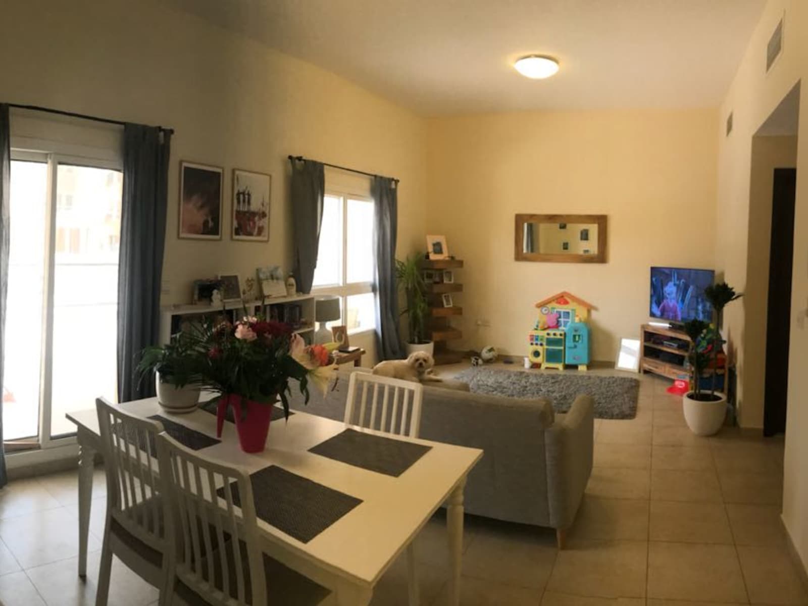 Housesitting assignment in Dubai, United Arab Emirates