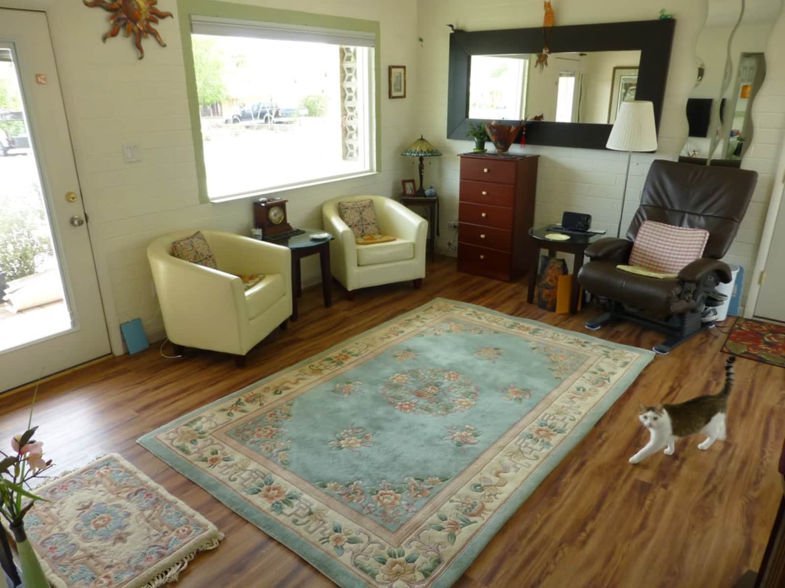 Housesitting assignment in Phoenix, Arizona, United States