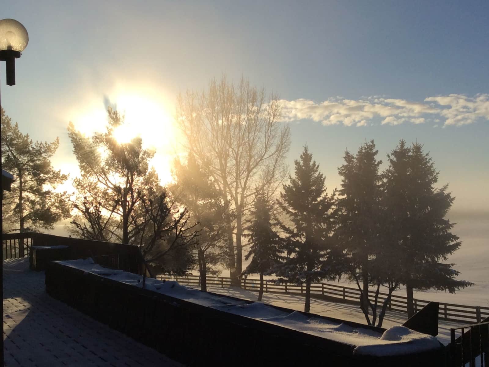 Housesitting assignment in Edmonton, Alberta, Canada