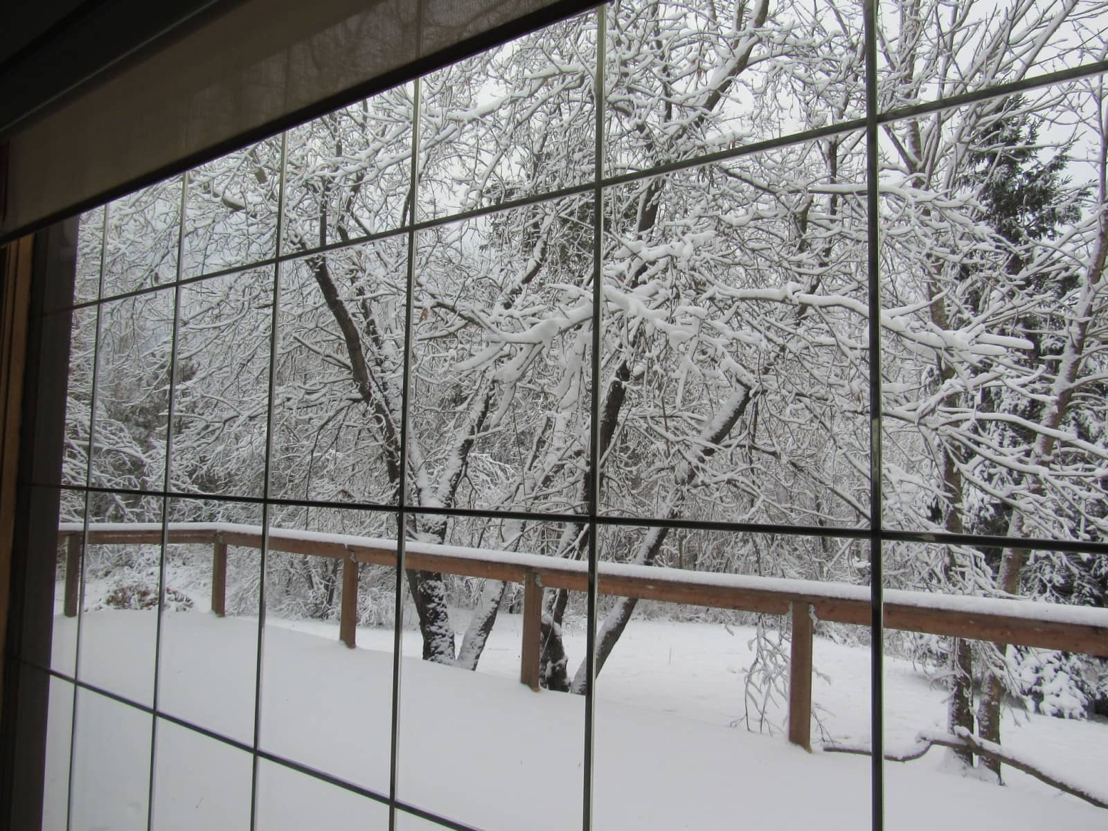 Housesitting assignment in Kenora, Ontario, Canada