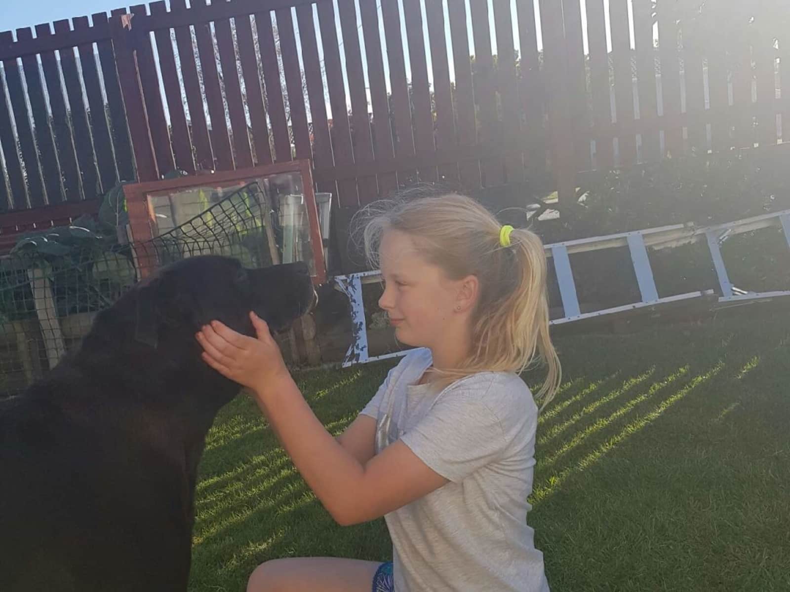 Housesitting assignment in Christchurch, New Zealand
