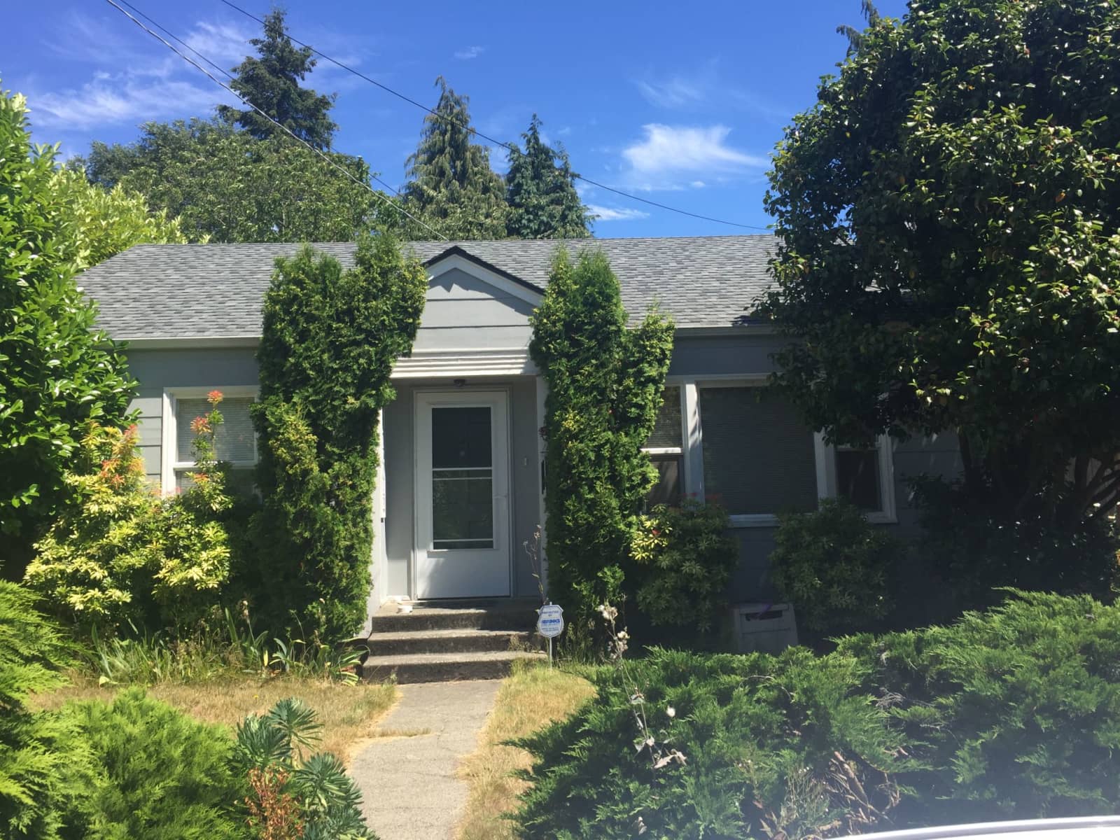 Housesitting assignment in Seattle, Washington, United States