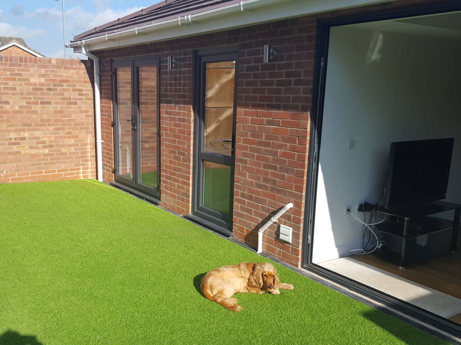 Housesitting assignment in Royal Leamington Spa, United Kingdom