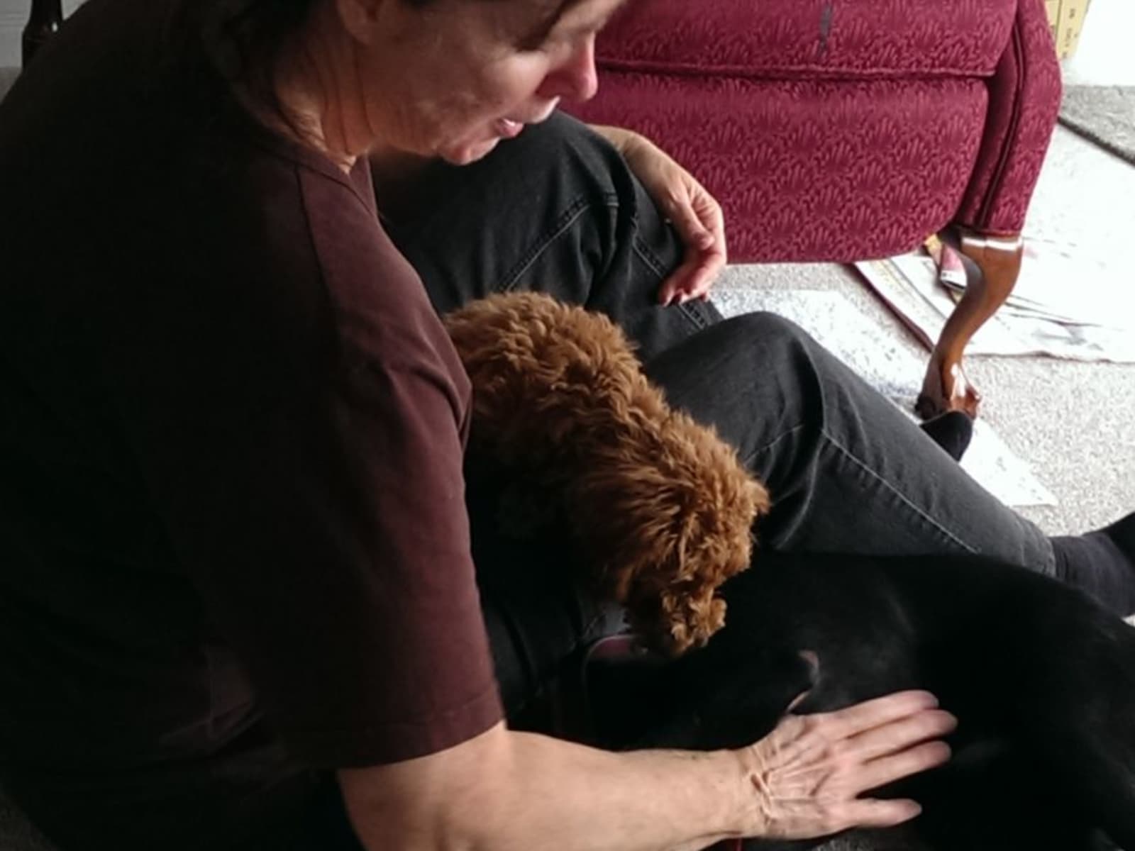 Cynthia from Sarnia, Ontario, Canada