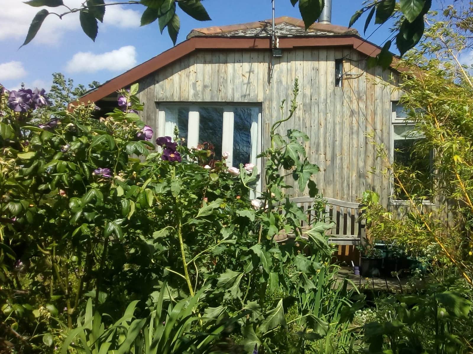 Housesitting assignment in Norwich, United Kingdom