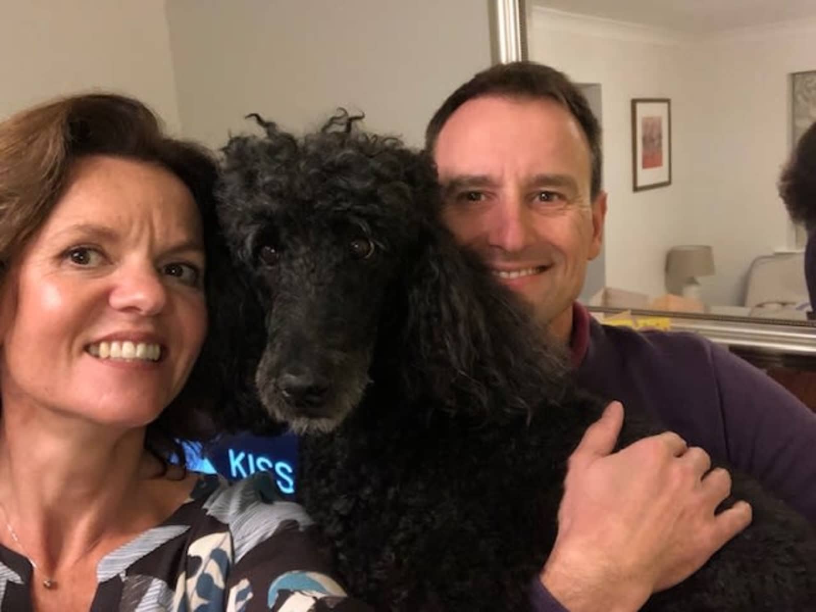 Housesitting assignment in Kings Hill, United Kingdom