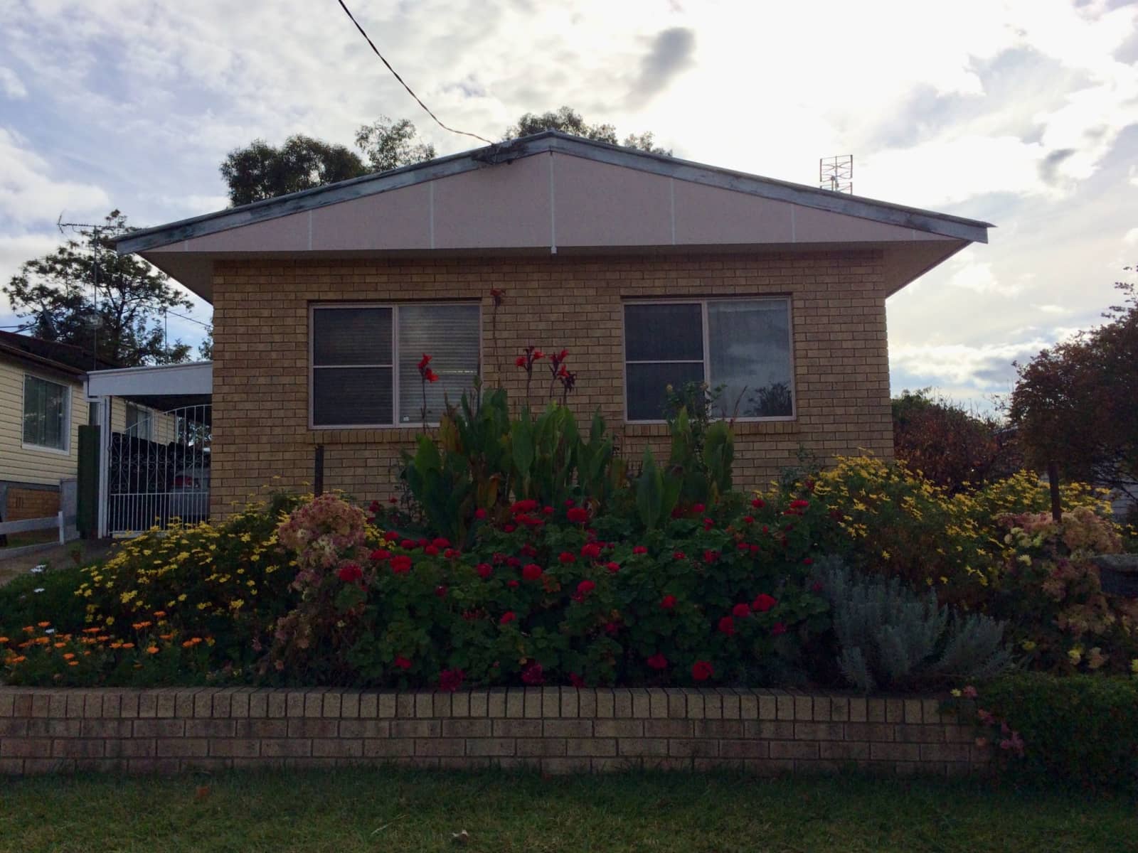 Housesitting assignment in South Tamworth, New South Wales, Australia