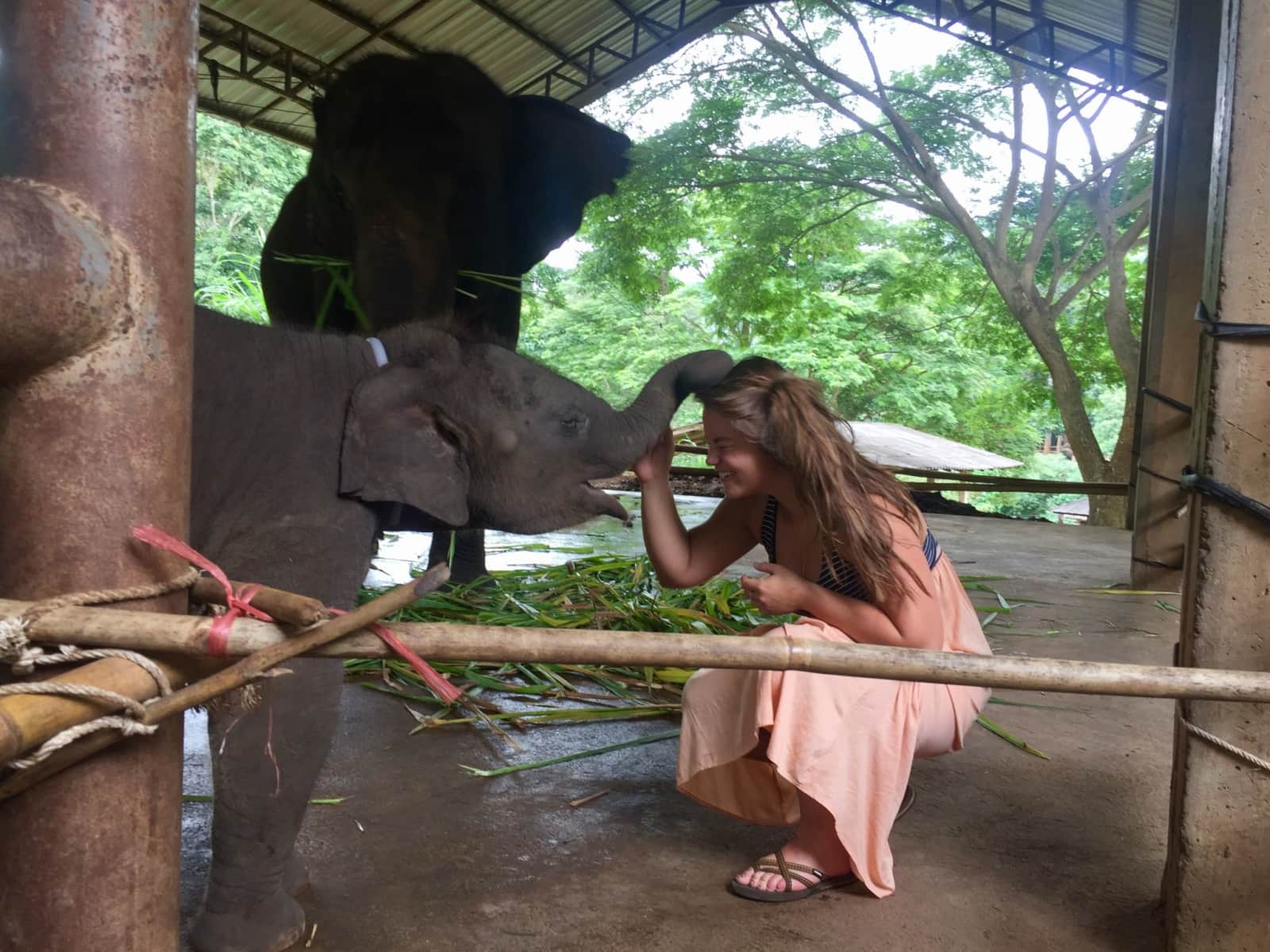Alex from Chiang Mai, Thailand