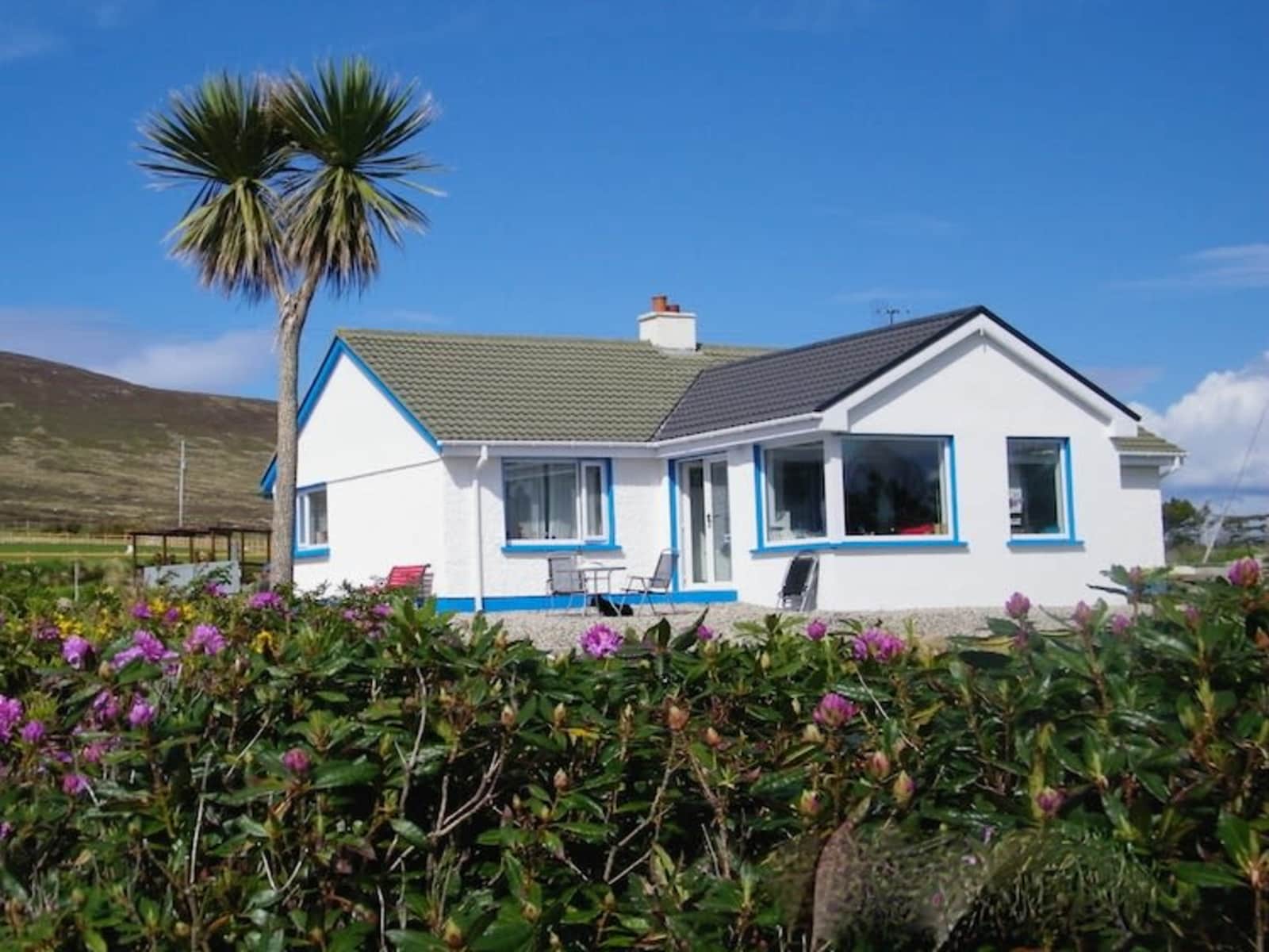 Housesitting assignment in Brinlack, Ireland