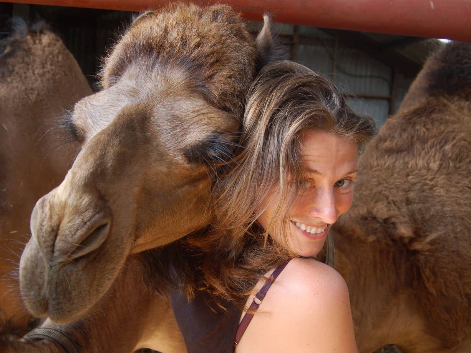 Kate from Leiden, Netherlands