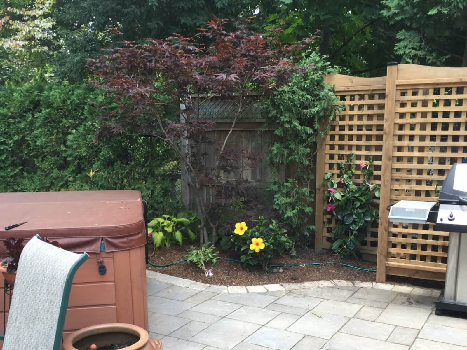 Housesitting assignment in London, Ontario, Canada