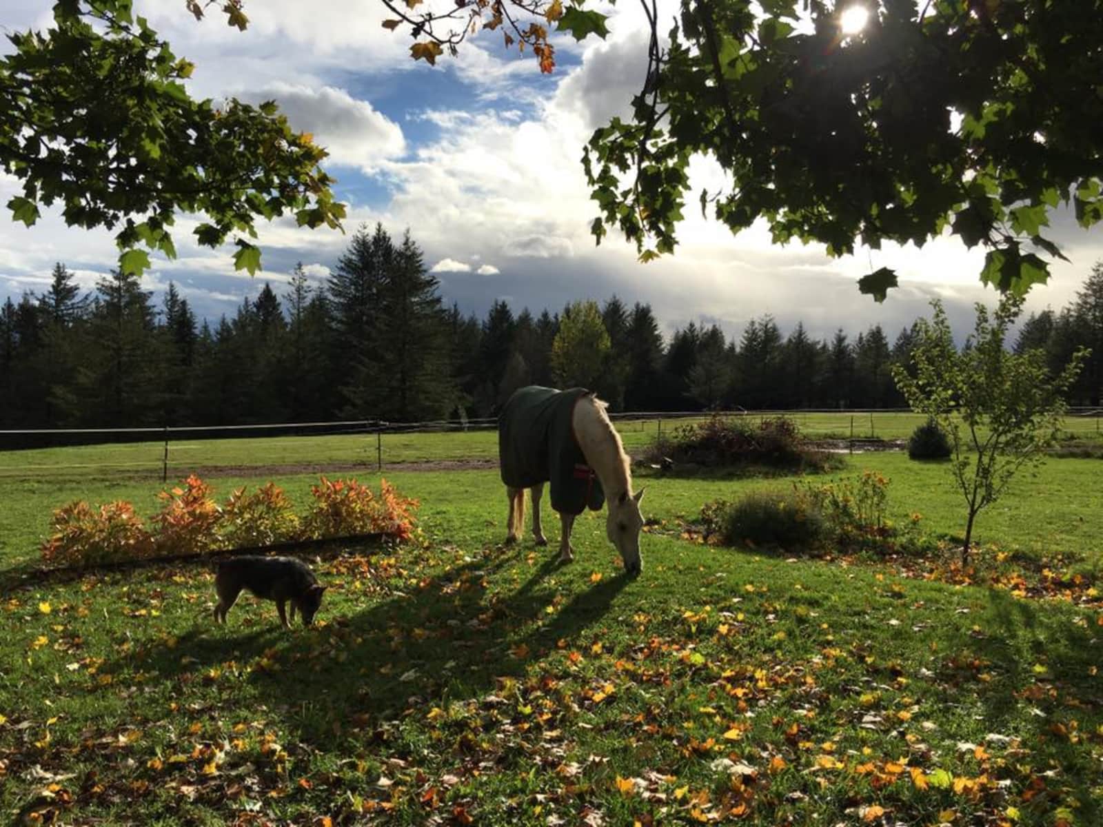 Housesitting assignment in Washougal, Washington, United States