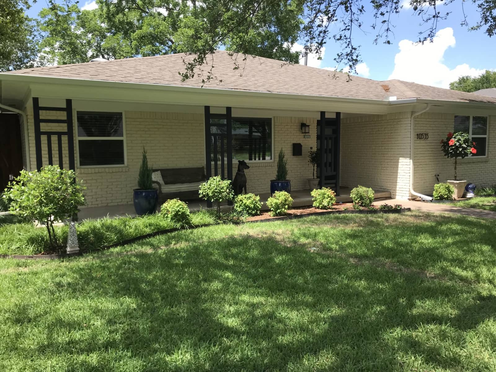 Housesitting assignment in Dallas, Texas, United States