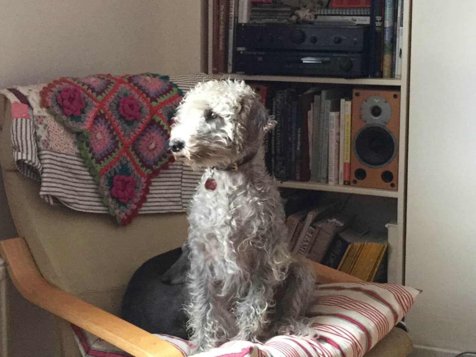 Penny & Paul from Edinburgh, United Kingdom
