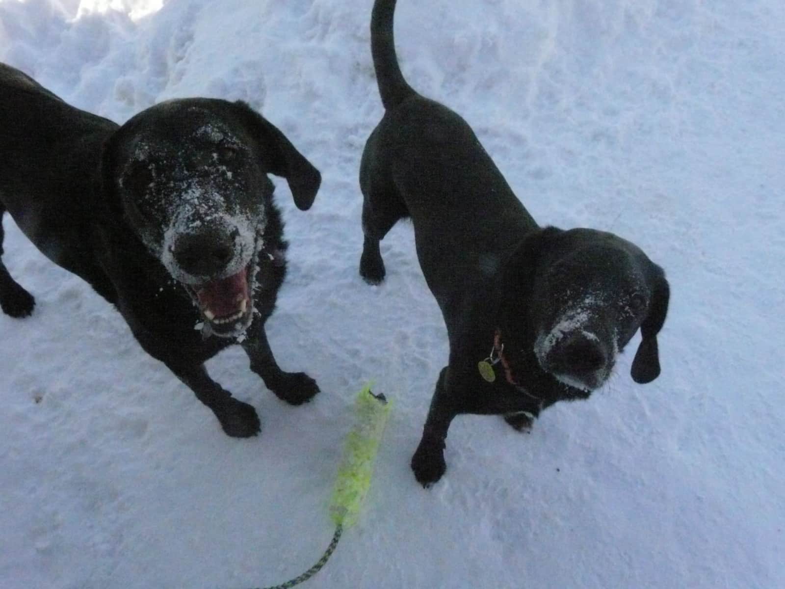 Victoria from Huntsville, Ontario, Canada