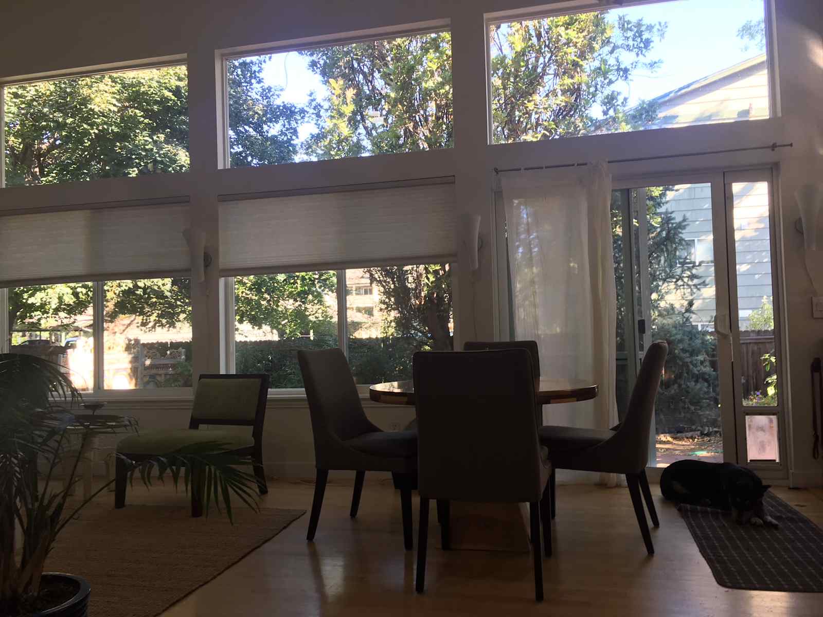 Housesitting assignment in Boulder, Colorado, United States