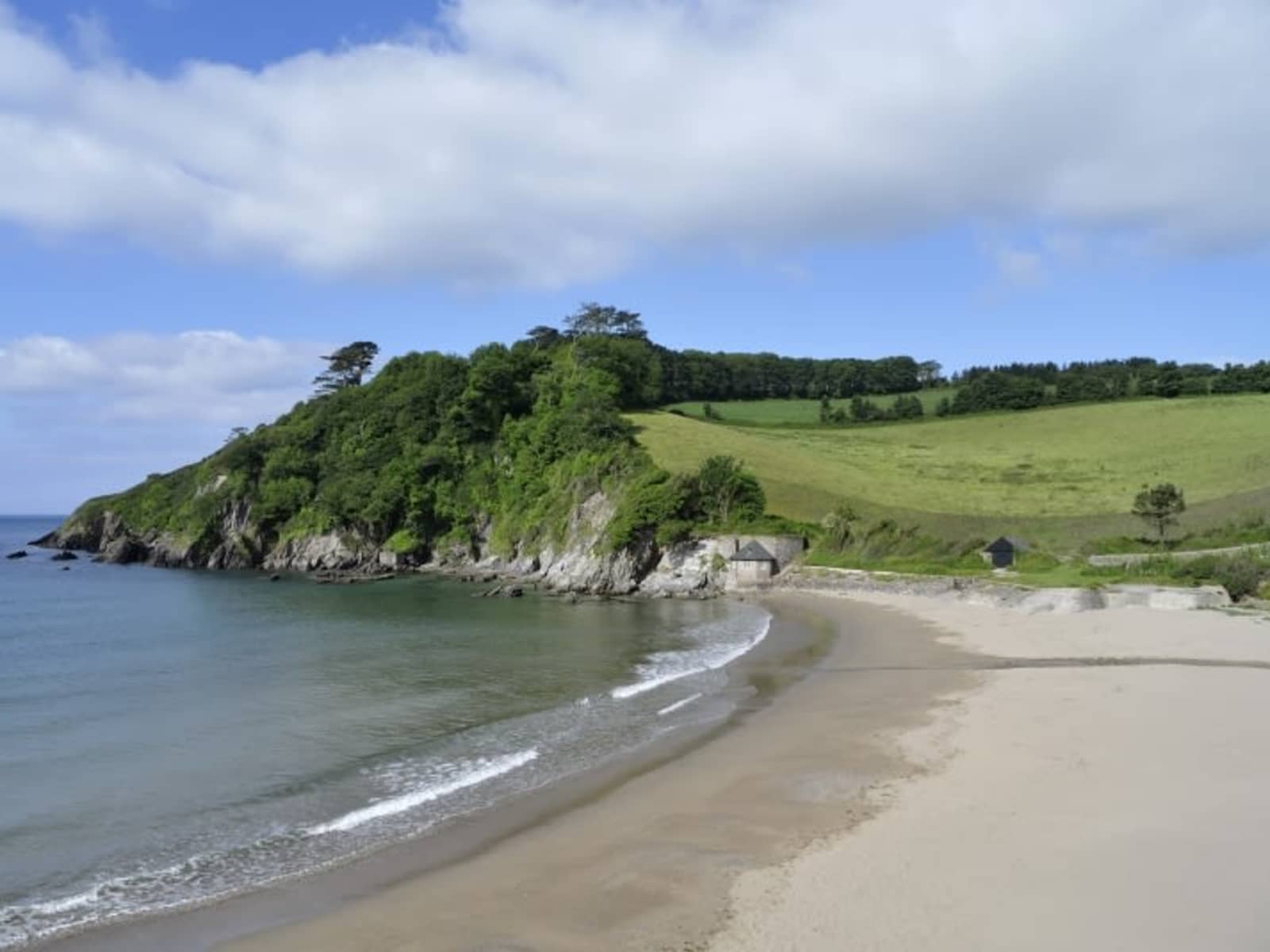 Housesitting assignment in Yealmpton, United Kingdom