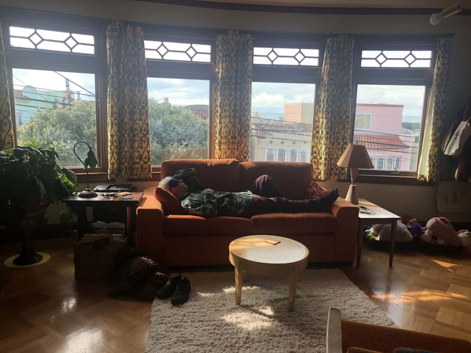 Housesitting assignment in San Francisco, California, United States