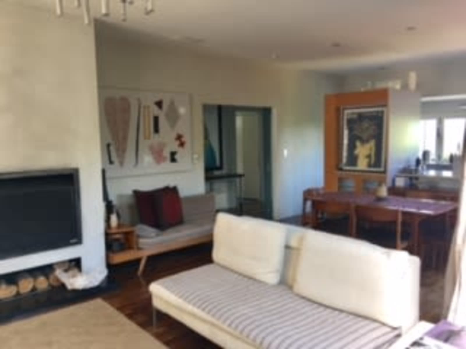 Housesitting assignment in Auckland, New Zealand
