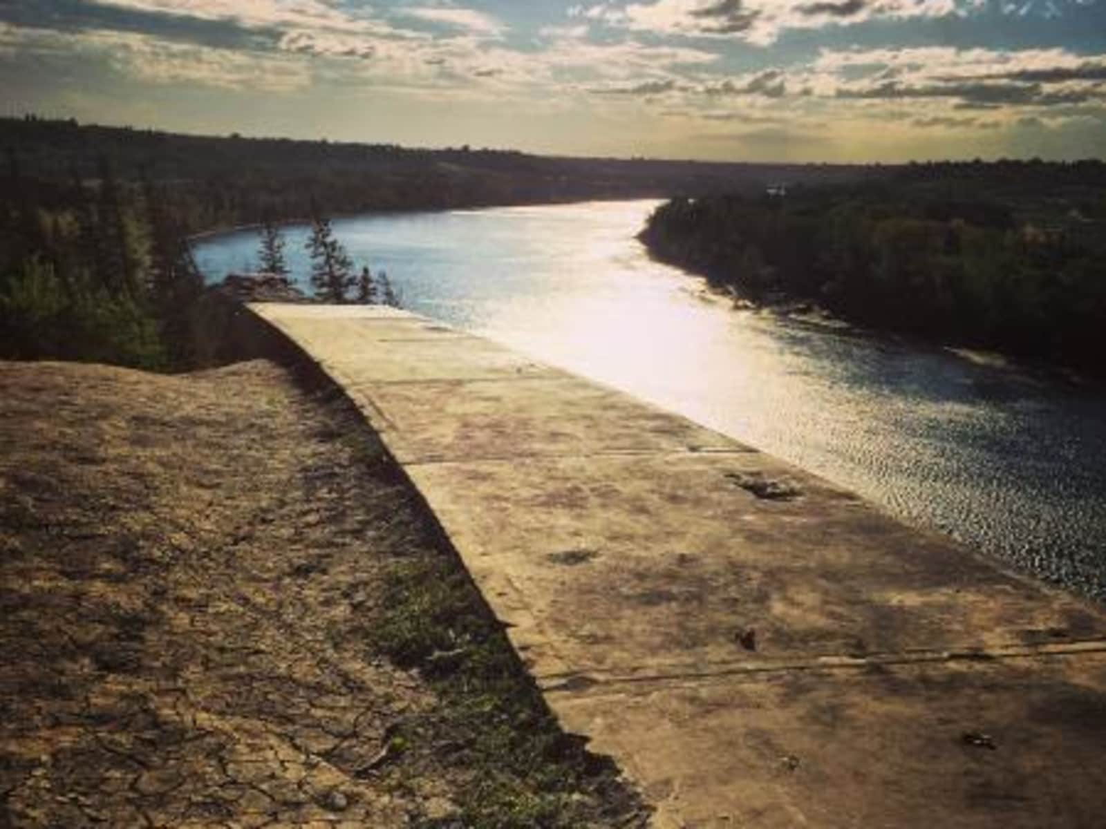 Housesitting assignment in Edmonton, Alberta, Canada