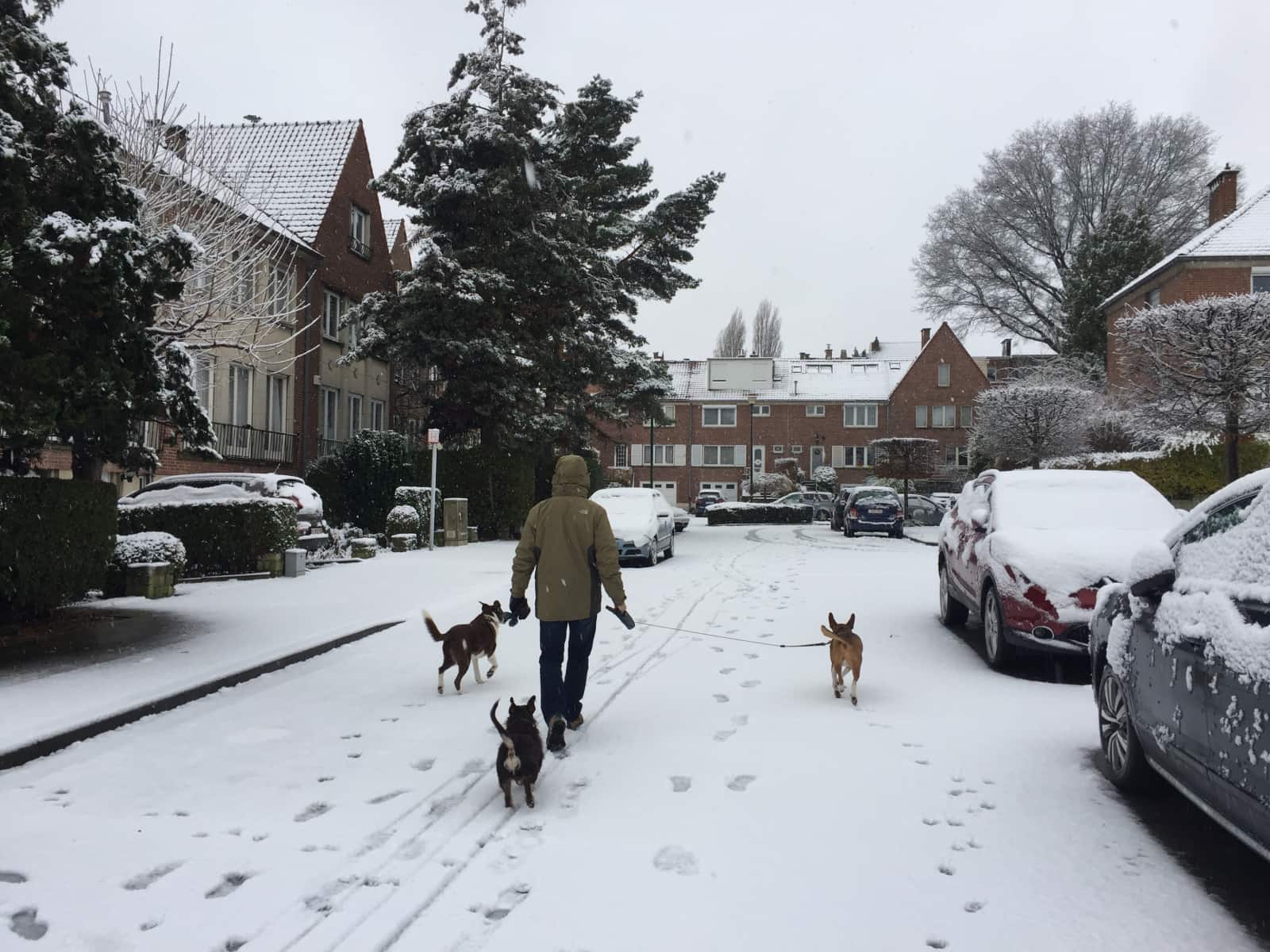 César from Brussels, Belgium