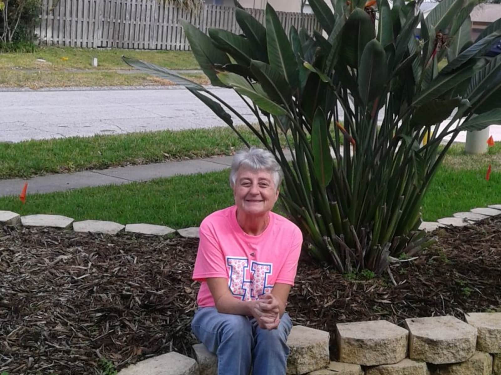 Pj from Clearwater, Florida, United States