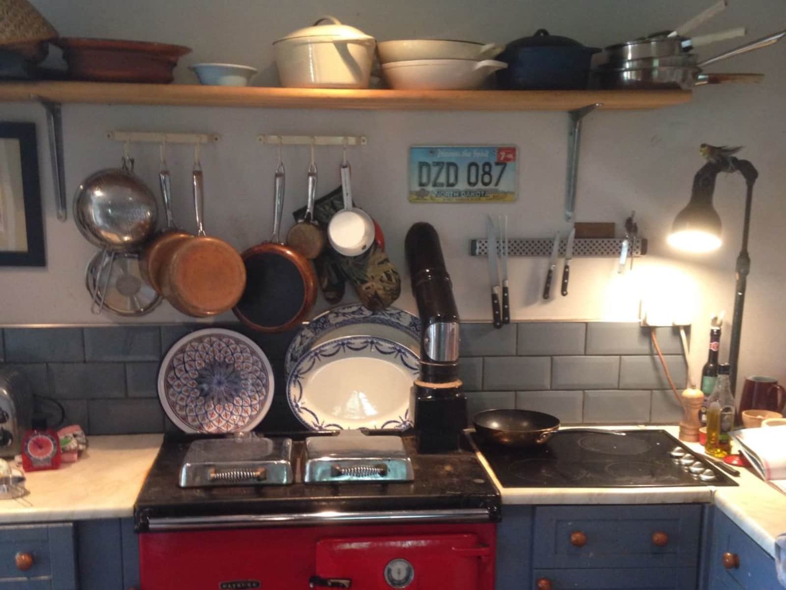 Housesitting assignment in Goodleigh, United Kingdom