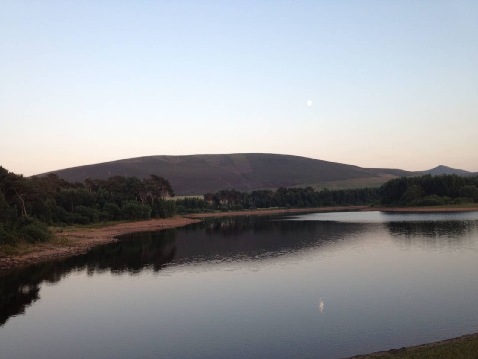 Housesitting assignment in Edinburgh, United Kingdom