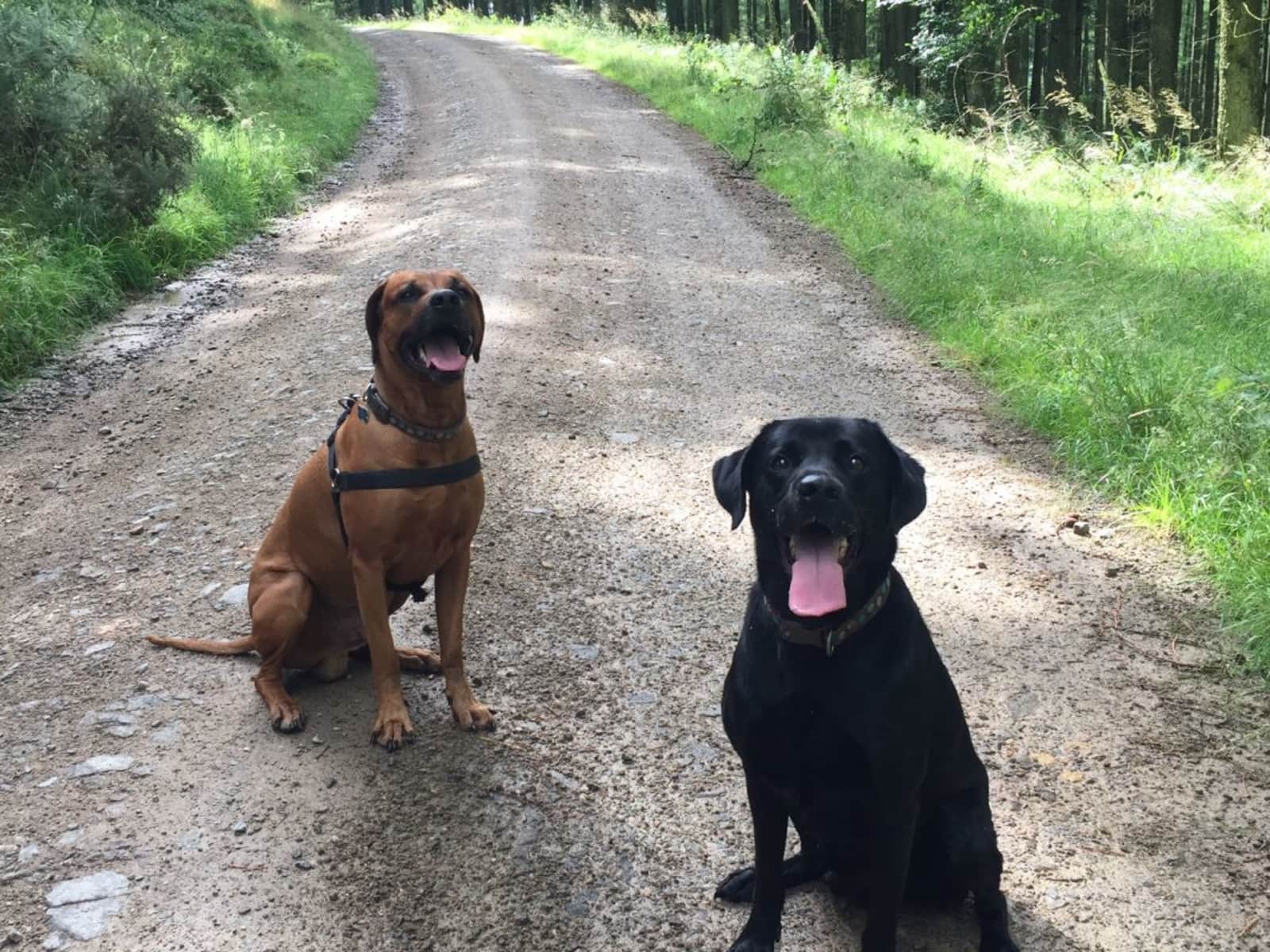 Housesitting assignment in Aberdeen, United Kingdom