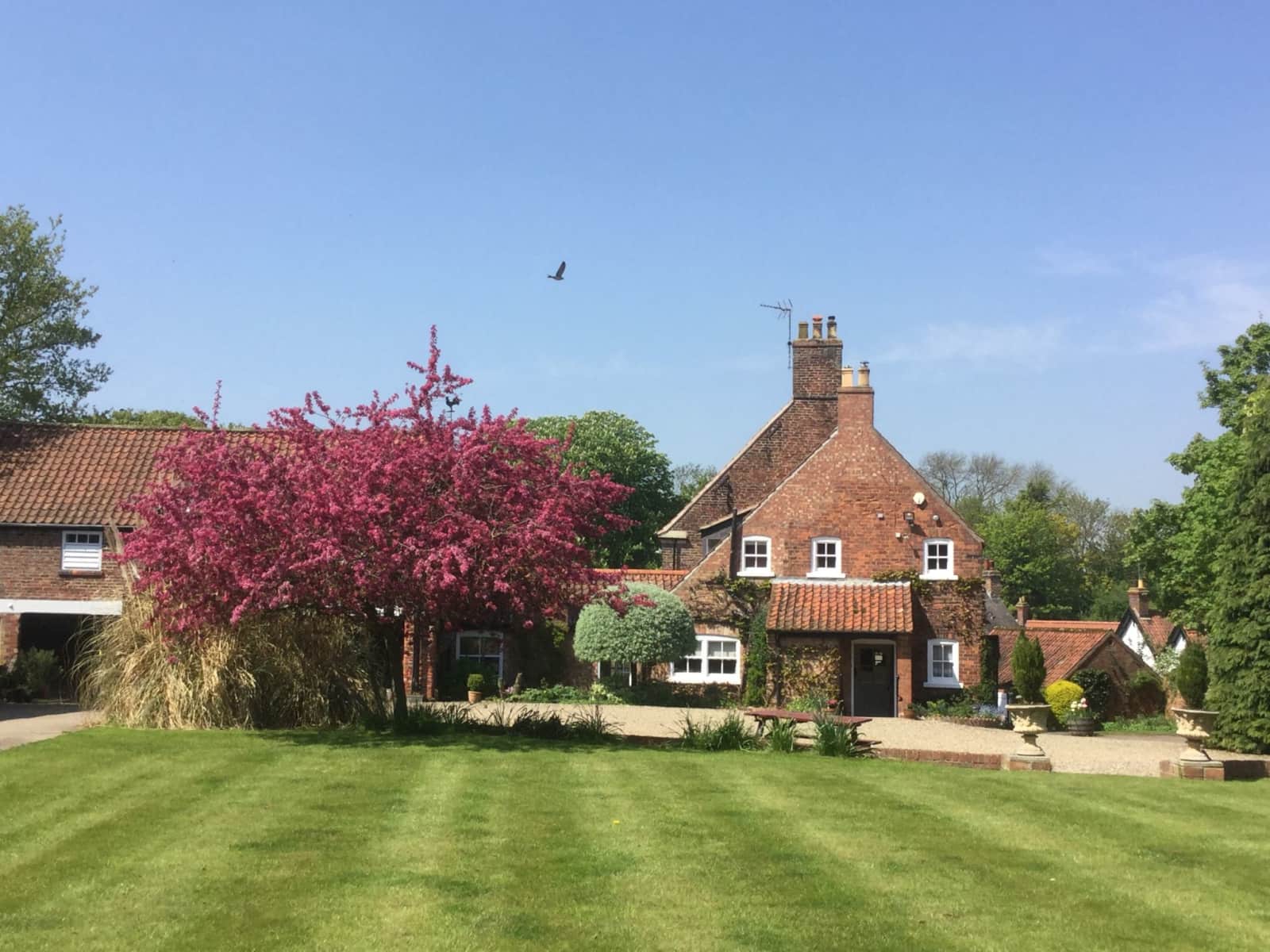 Housesitting assignment in Bishop Burton, United Kingdom
