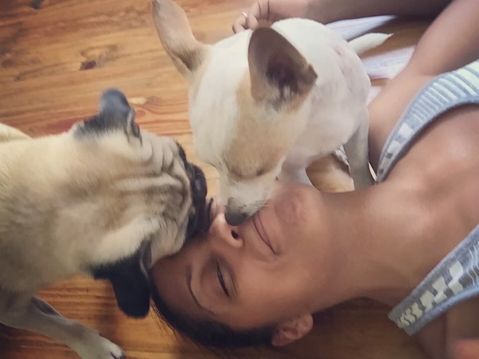 Patrice from Los Angeles, California, United States