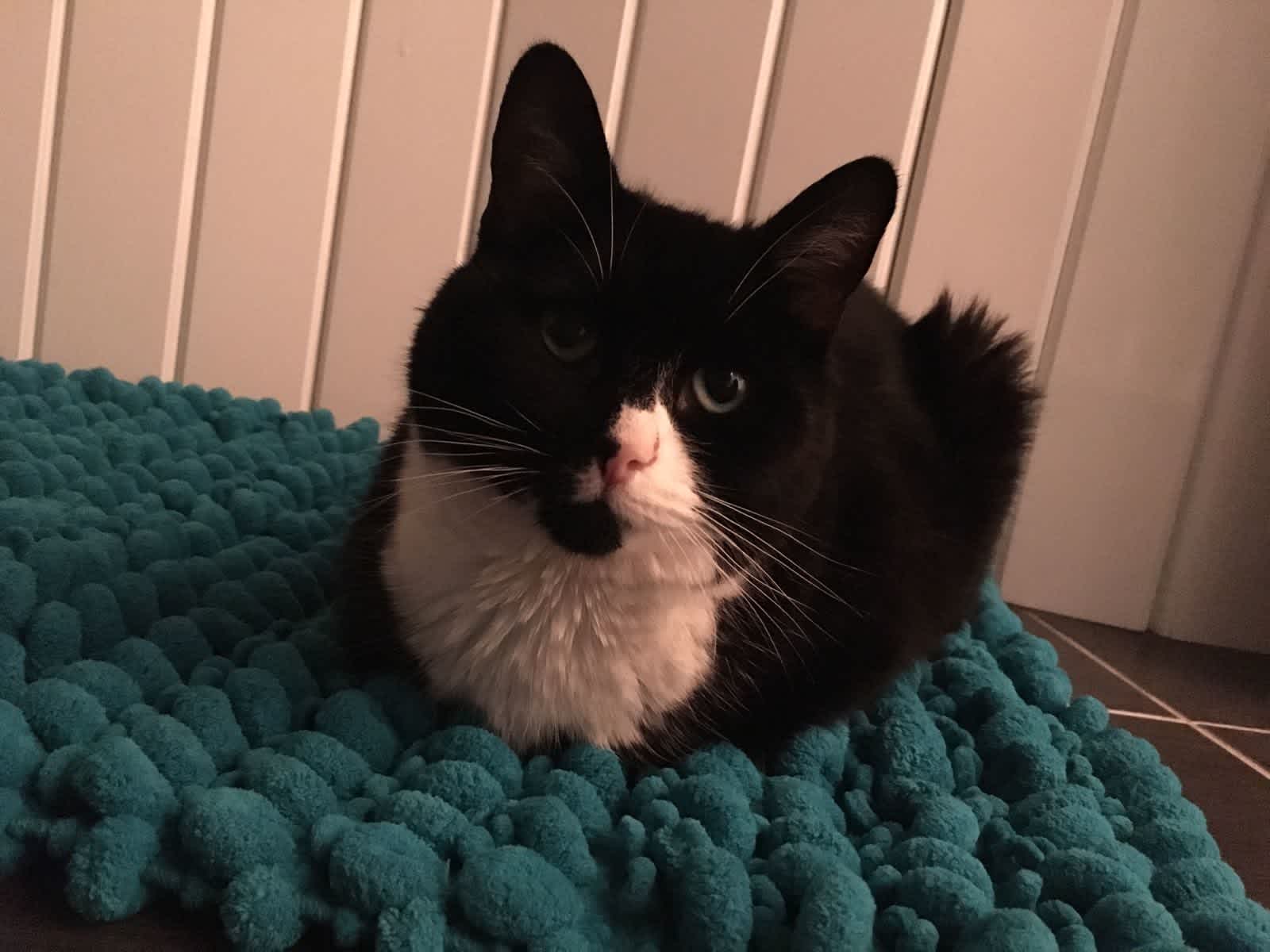 Ami from London, United Kingdom