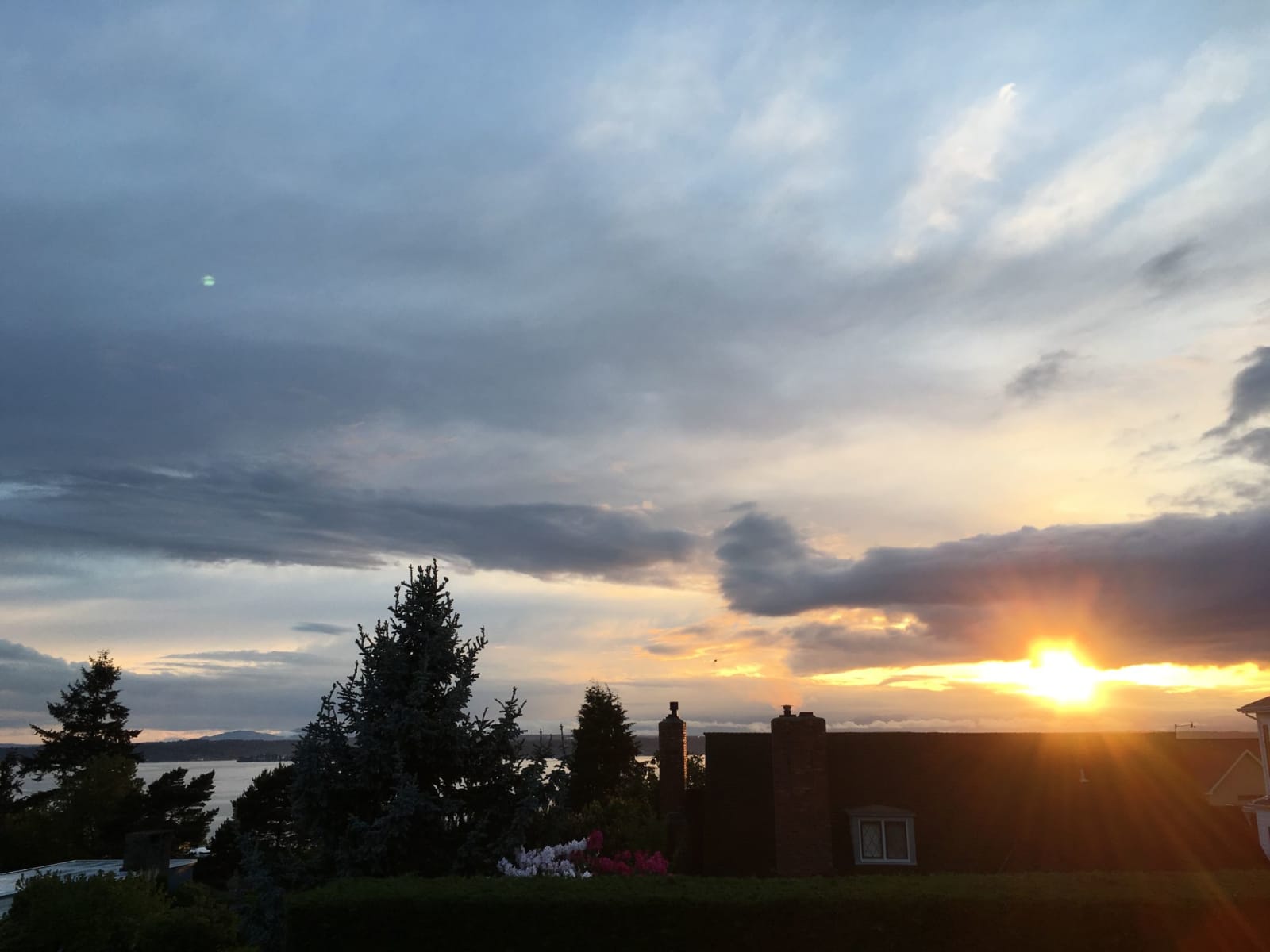 Housesitting assignment in Seattle, Washington, United States