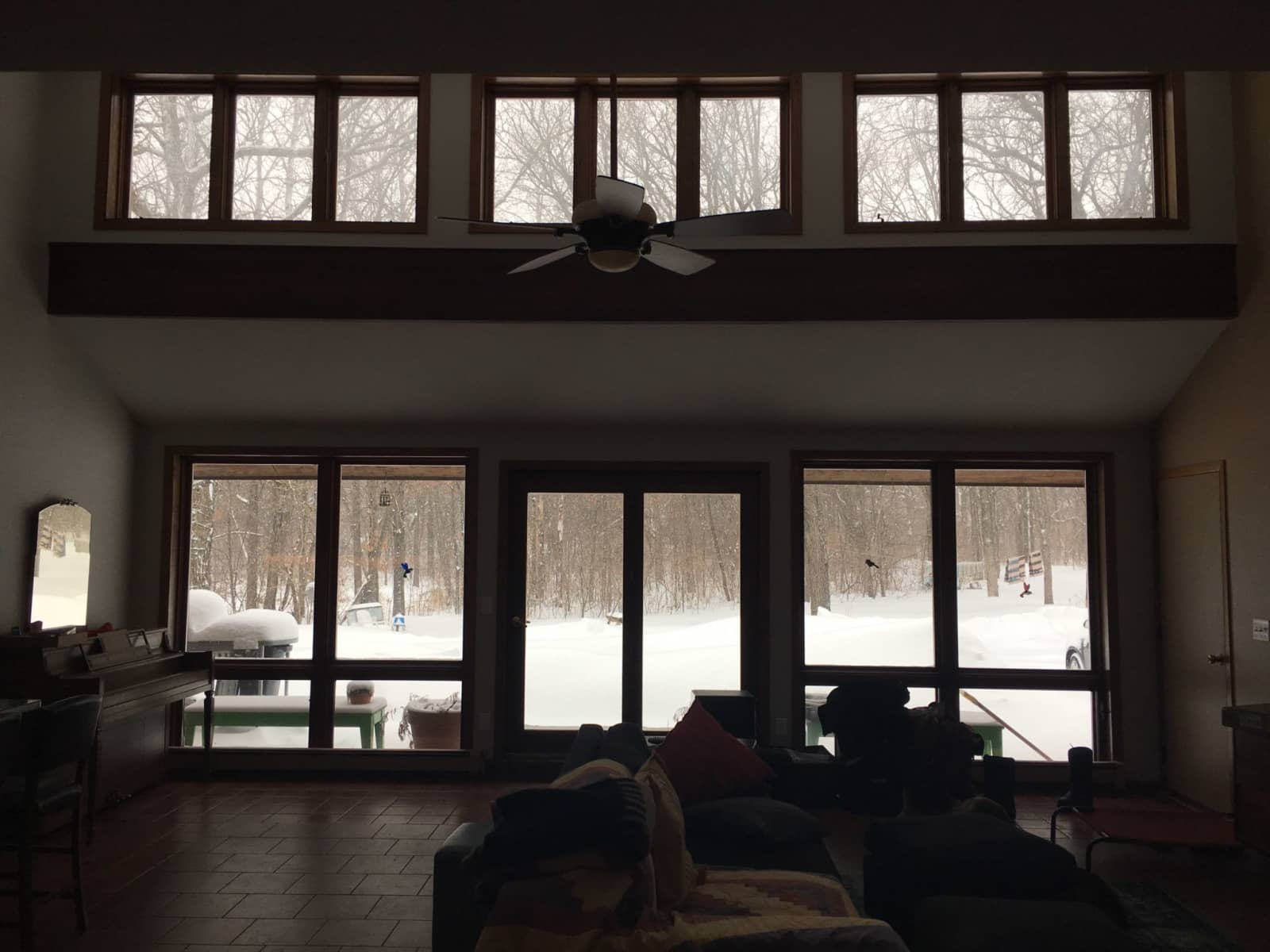 Housesitting assignment in Minneapolis, Minnesota, United States
