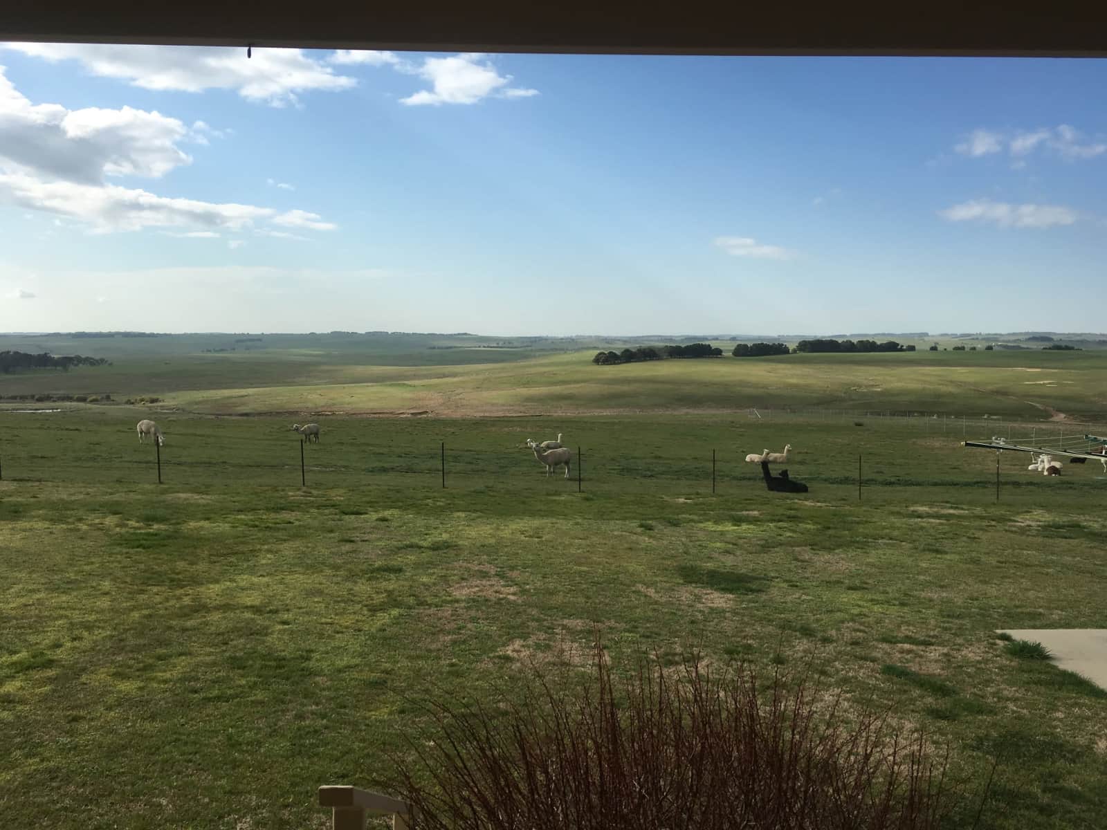 Housesitting assignment in Laggan, New South Wales, Australia