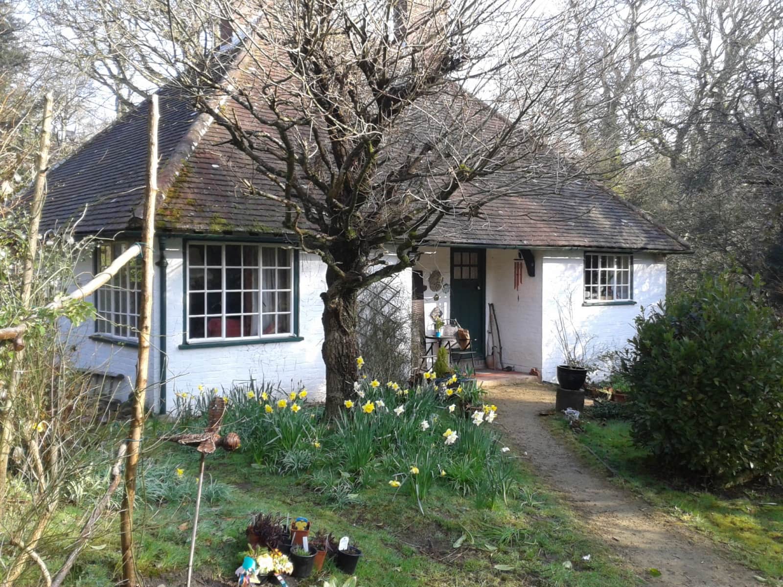 Housesitting assignment in Storrington, United Kingdom