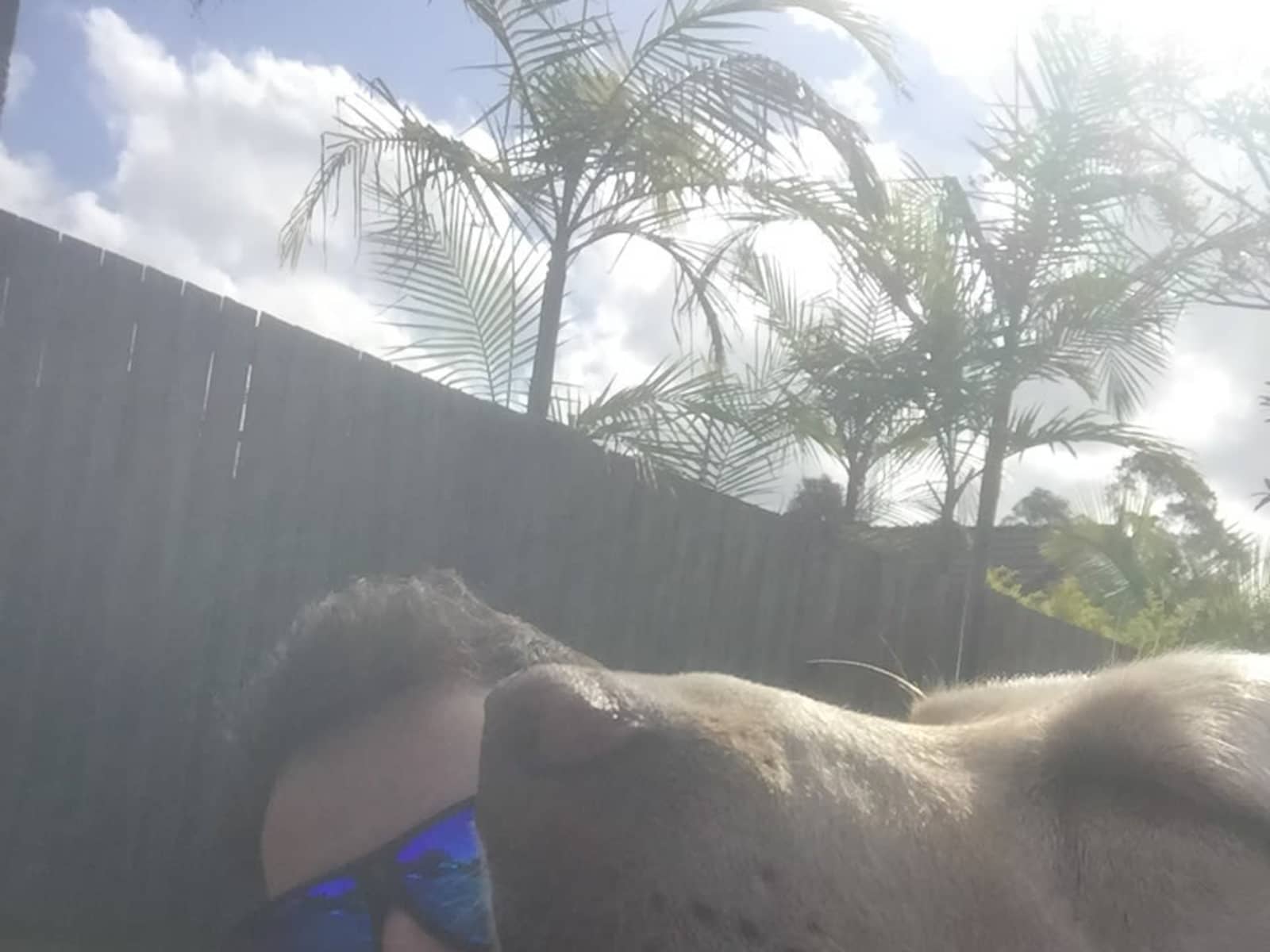 Logan from Sunshine Coast, Queensland, Australia