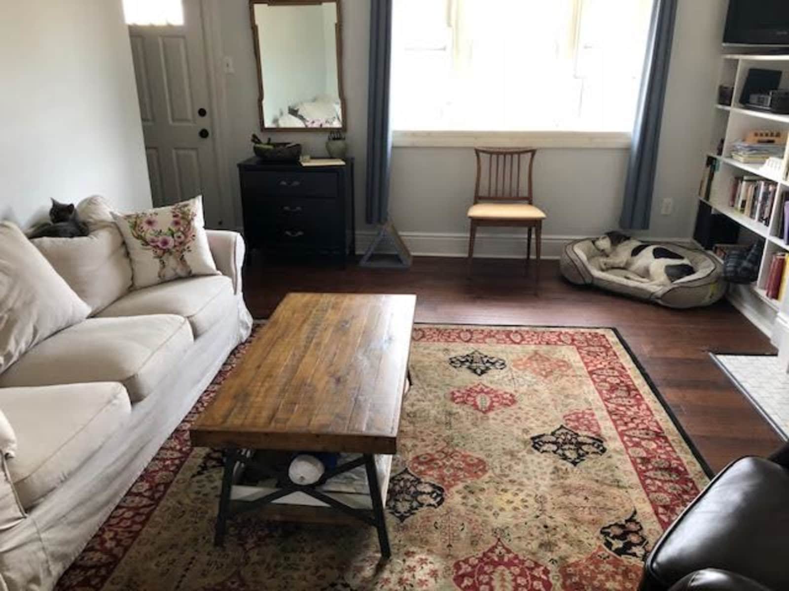 Housesitting assignment in Pittsburgh, Pennsylvania, United States