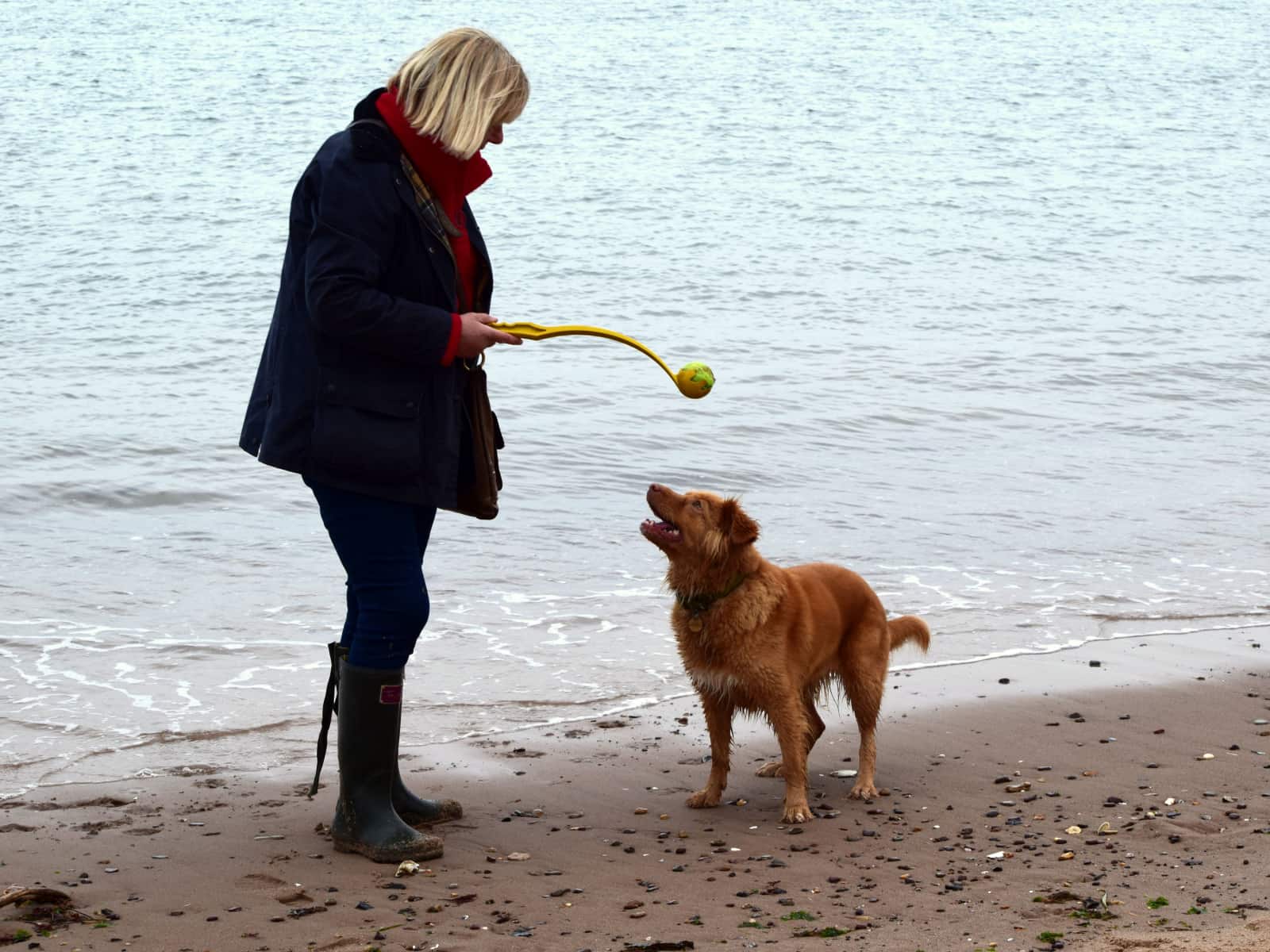 June from Totnes, United Kingdom