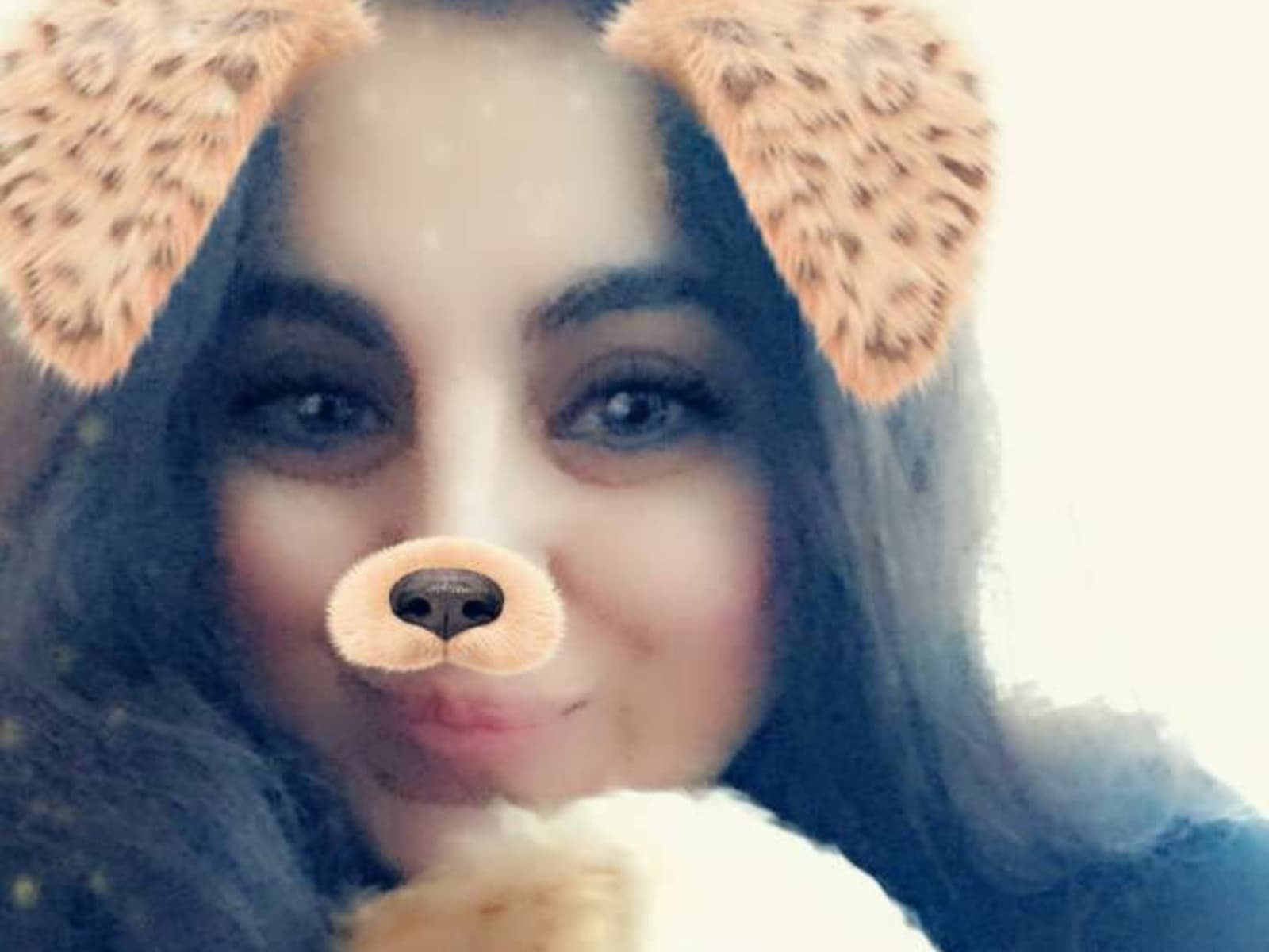 Bonnie from Chicago, Illinois, United States