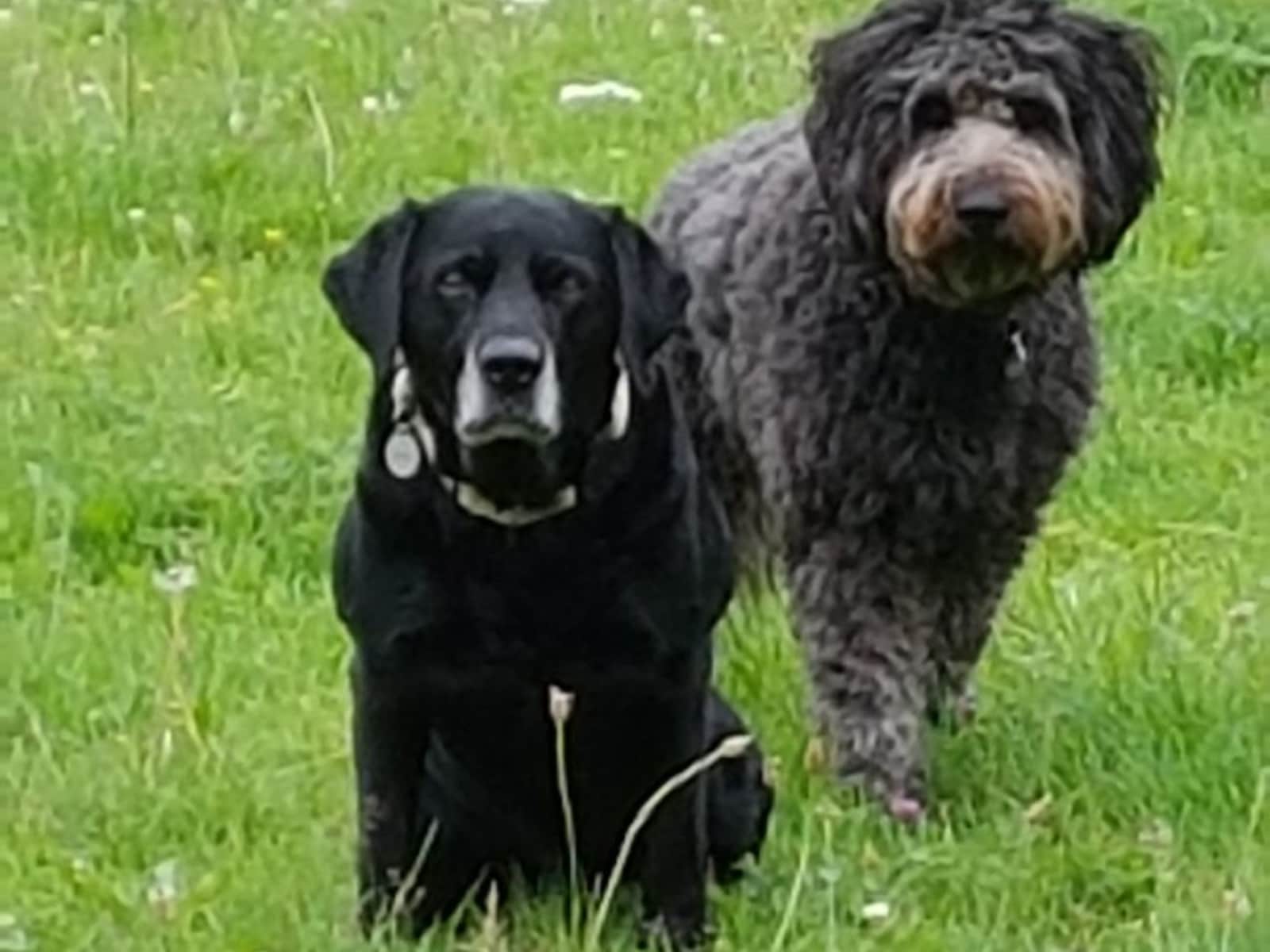 Mark & Sally from Malmesbury, United Kingdom