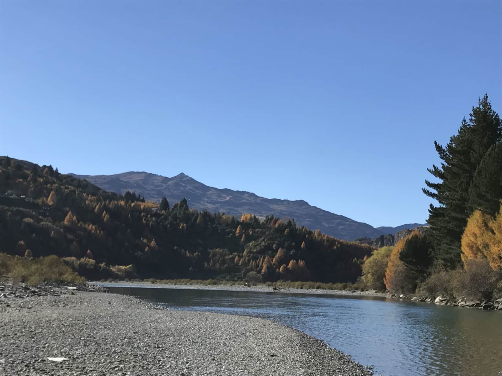 Housesitting assignment in Queenstown, New Zealand