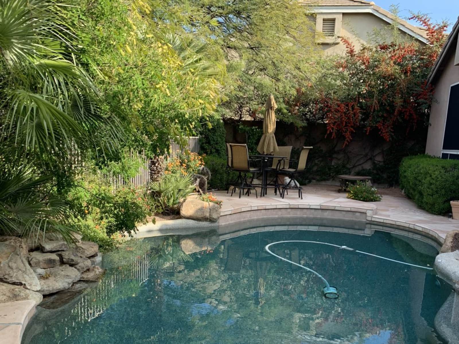 Housesitting assignment in Phoenix, Arizona, United States
