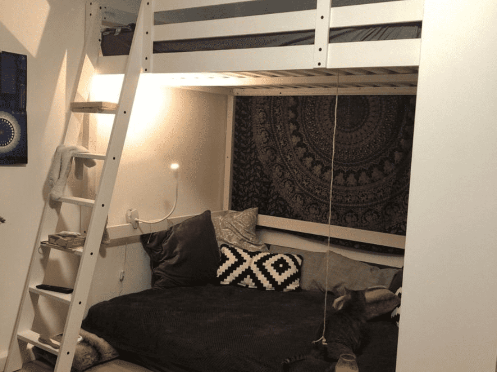 Housesitting assignment in Karlsruhe, Germany