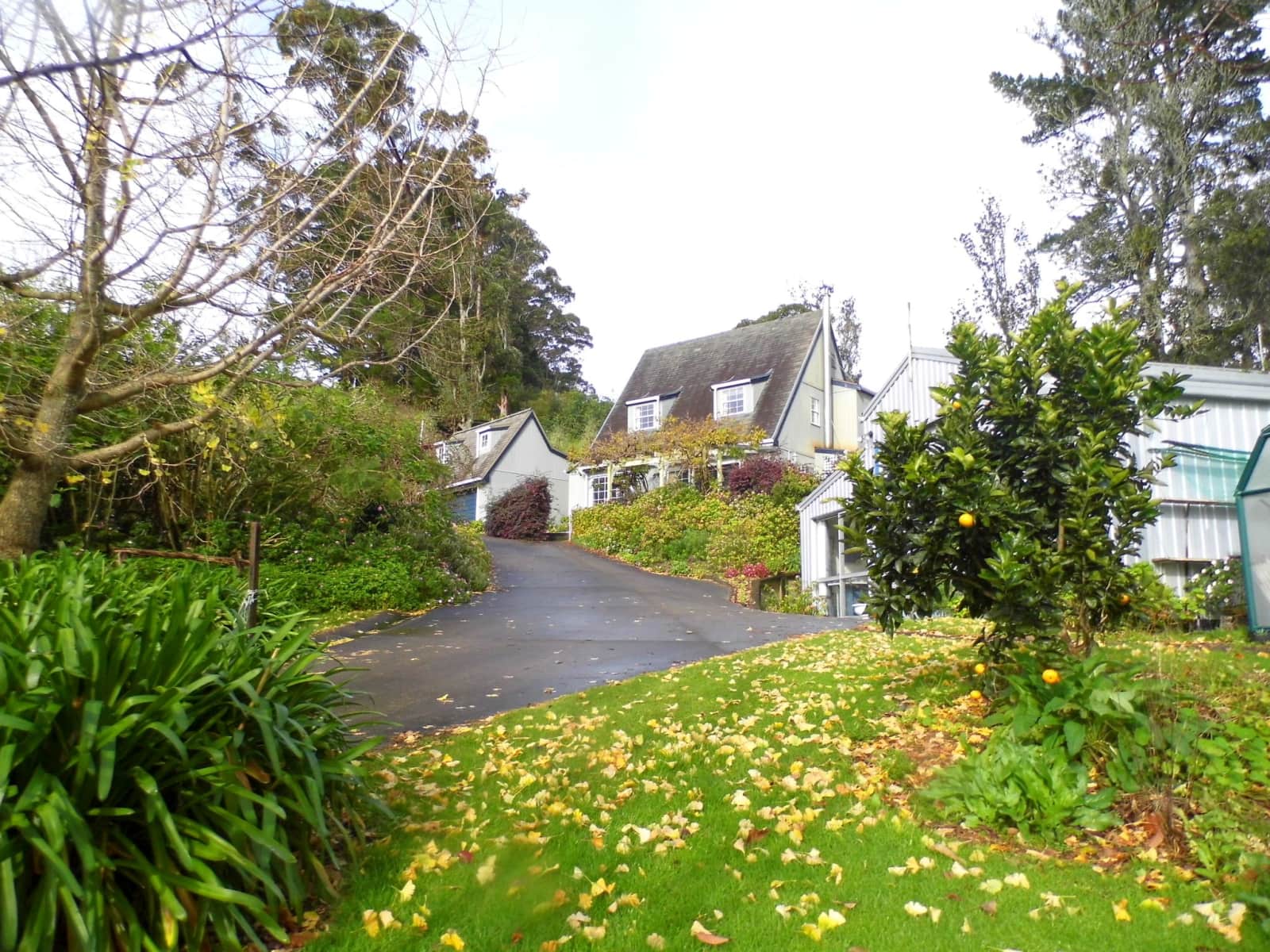Housesitting assignment in Katikati, New Zealand