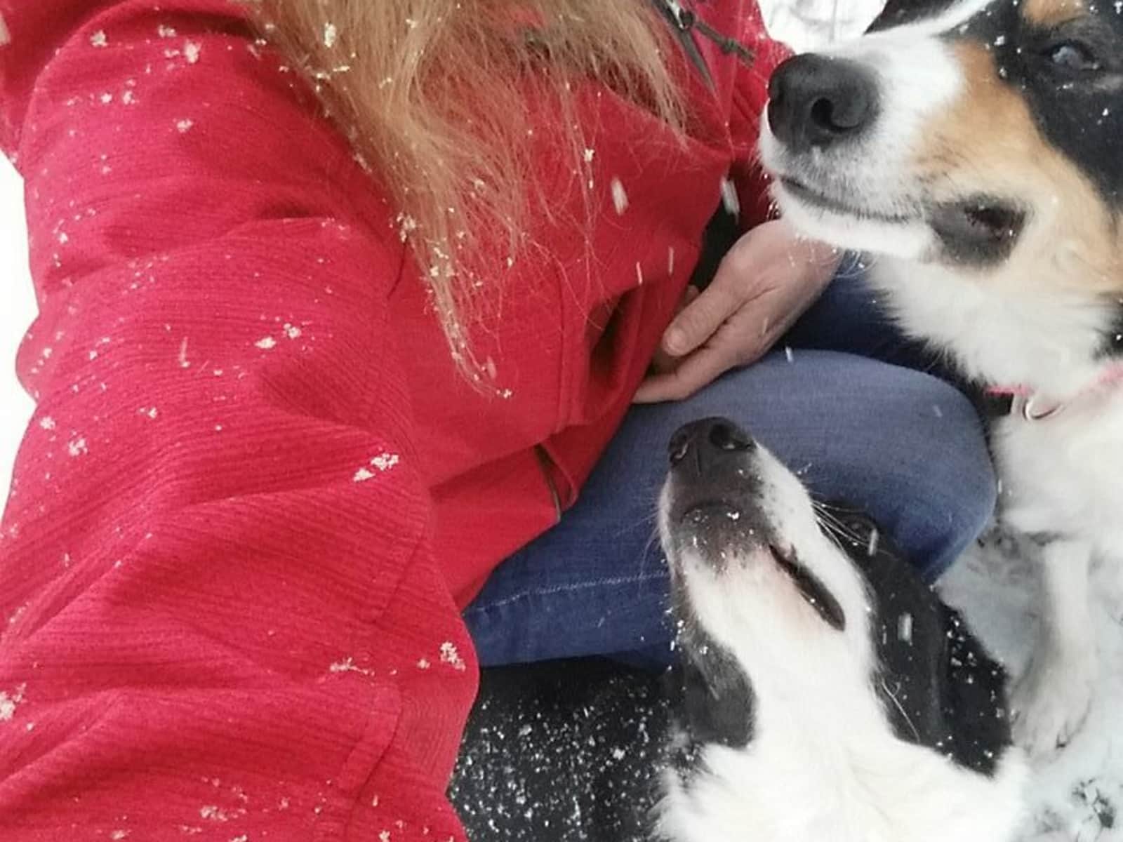 Julie from Poughkeepsie, New York, United States