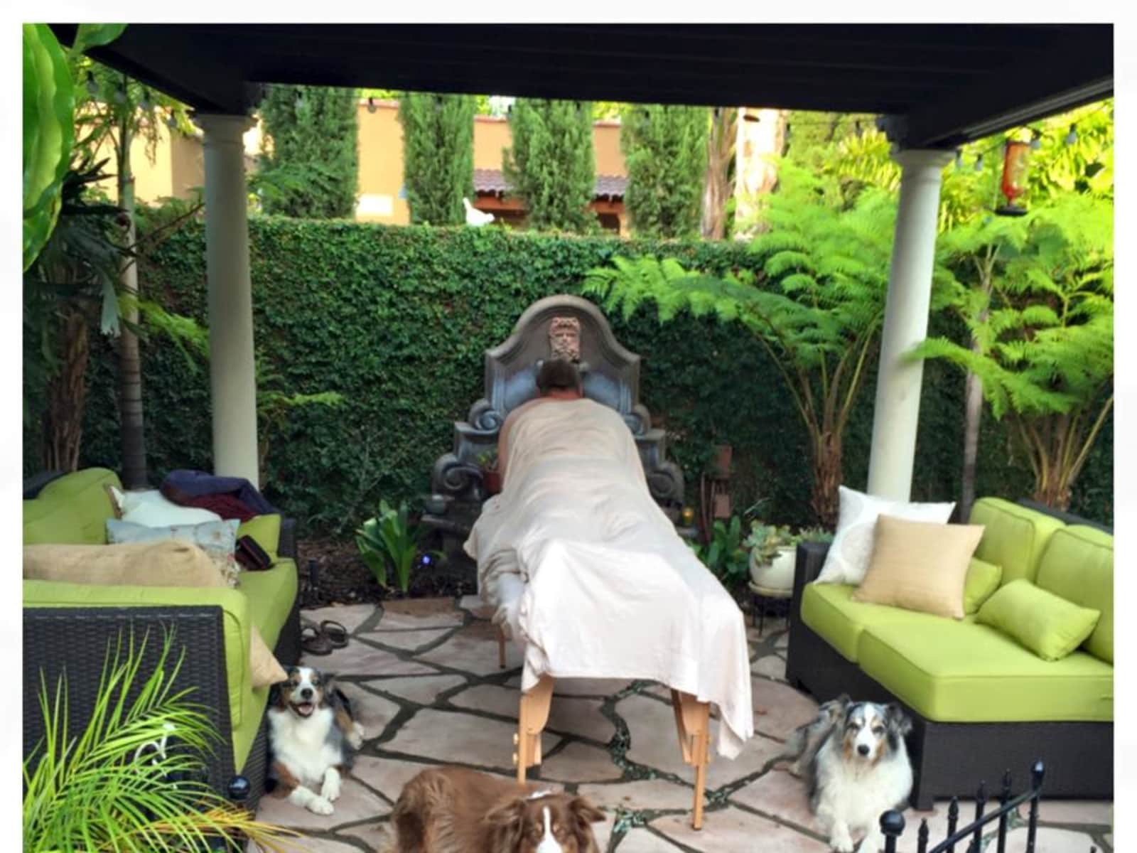 Housesitting assignment in Santa Ana, California, United States