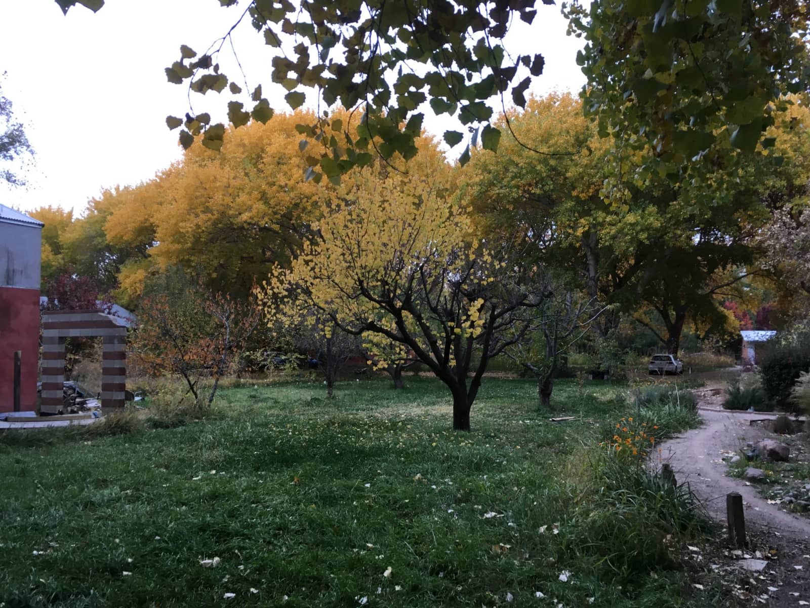 Housesitting assignment in Albuquerque, New Mexico, United States